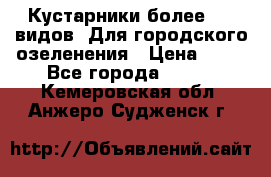 Кустарники более 100 видов. Для городского озеленения › Цена ­ 70 - Все города  »    . Кемеровская обл.,Анжеро-Судженск г.